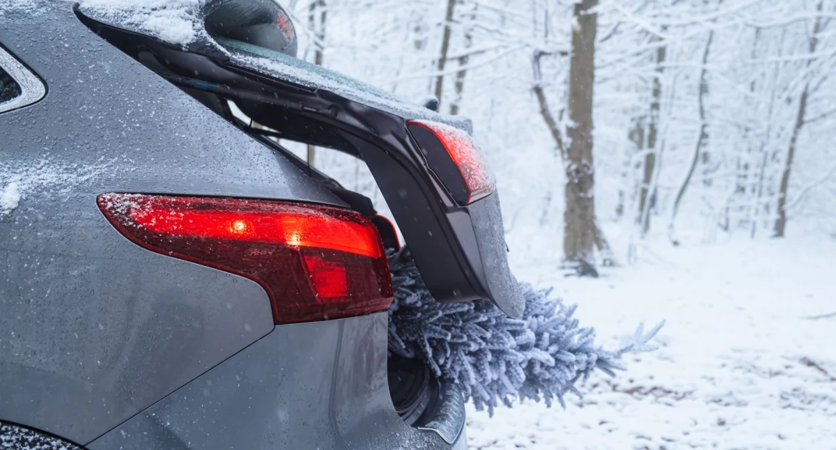 Jak przygotować auto na mróz? Warto pamiętać o kilku kwestiach