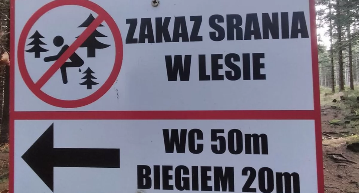 Zakaz srania w lesie. Dobitny komunikat do odwiedzających