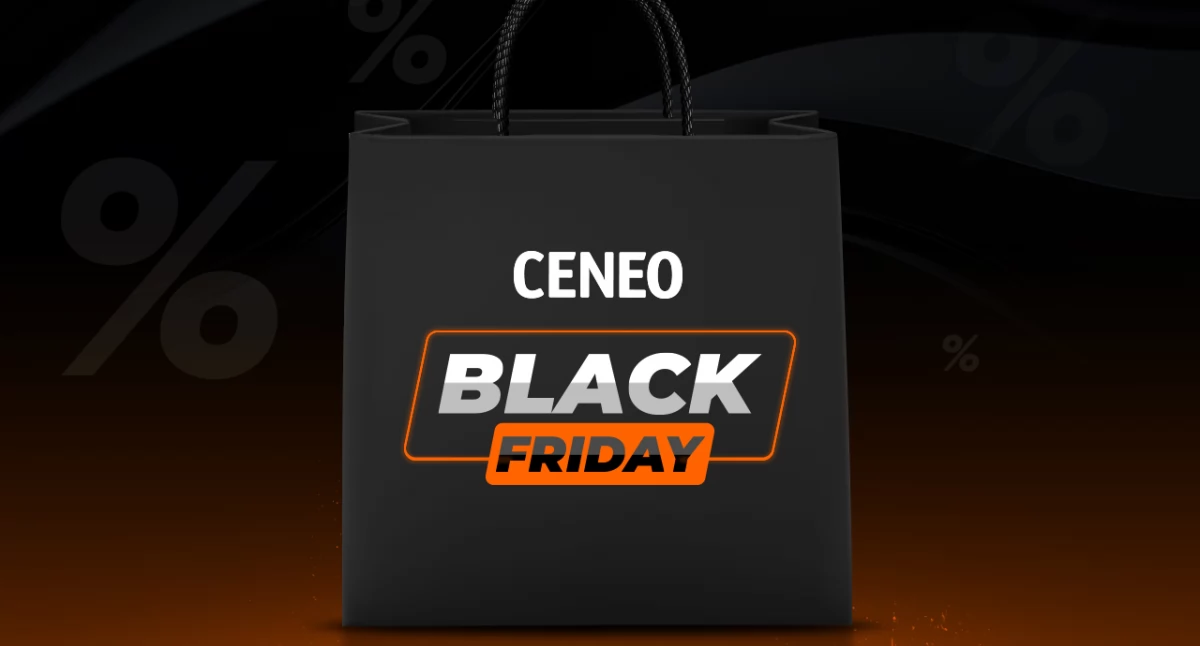 Jak bezpiecznie robić zakupy online podczas Black Friday 2024?