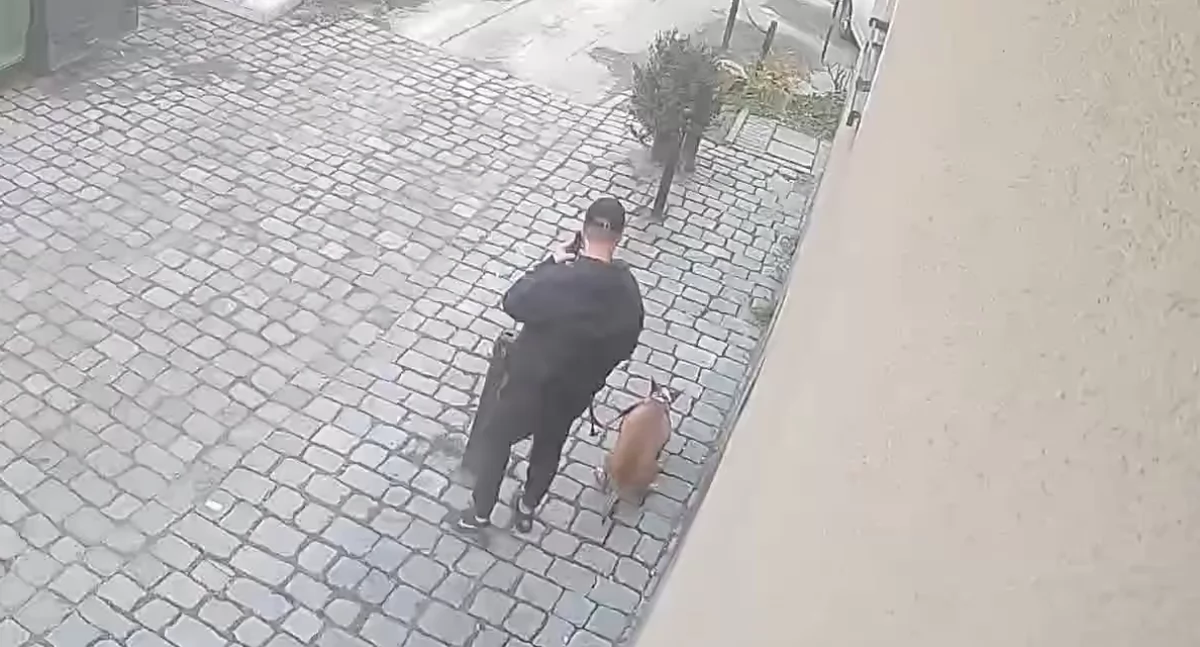 Pies narobił na chodniku, właściciel nie zareagował. Zobacz film i skomentuj.