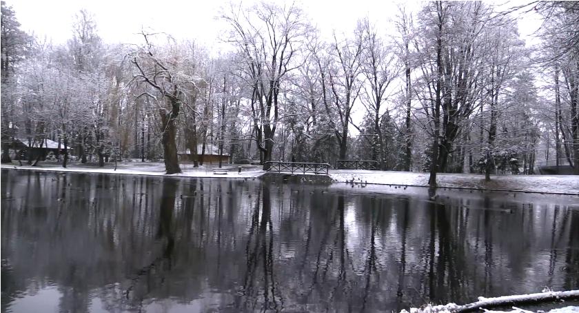 Park Norweski o poranku