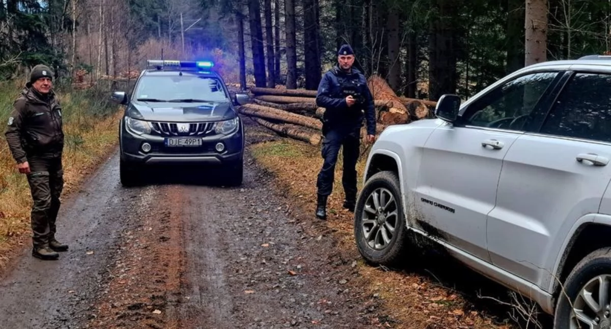 Święta w zgodzie z naturą – mundurowi ostrzegają przed nielegalną wycinką choinek