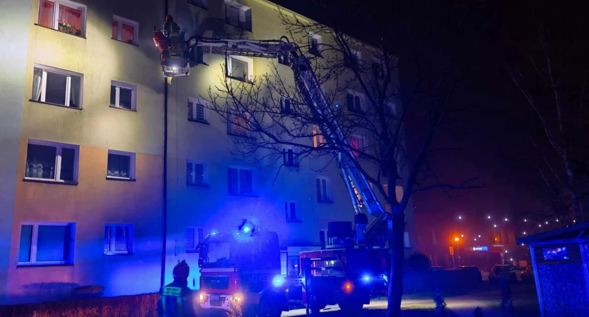 Wydostali psa z mieszkania, a ten chwilę później uciekł. Właścicielka jest w szoku