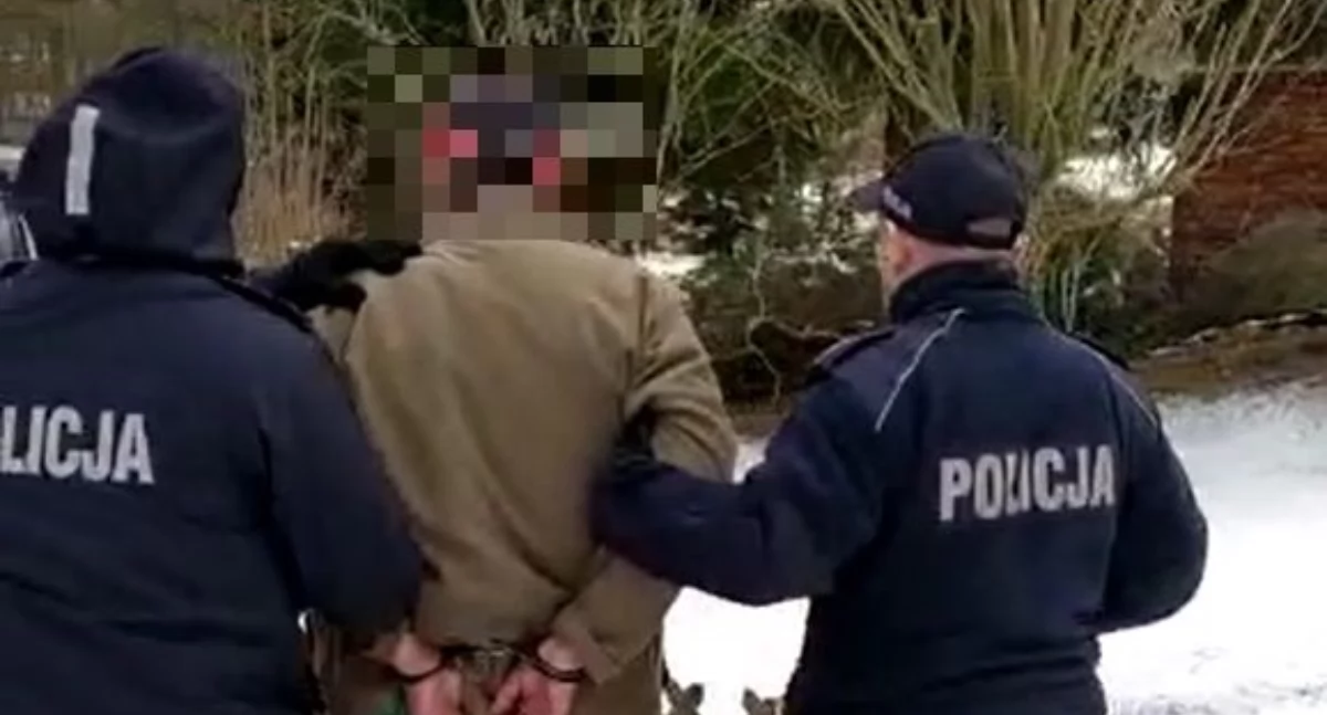Recydywista kopał policjantkę. Trafił do aresztu