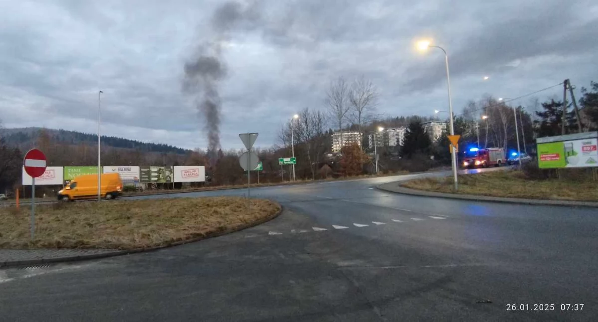 Pożar altanki na ogródkach przy ulicy Zgorzeleckiej