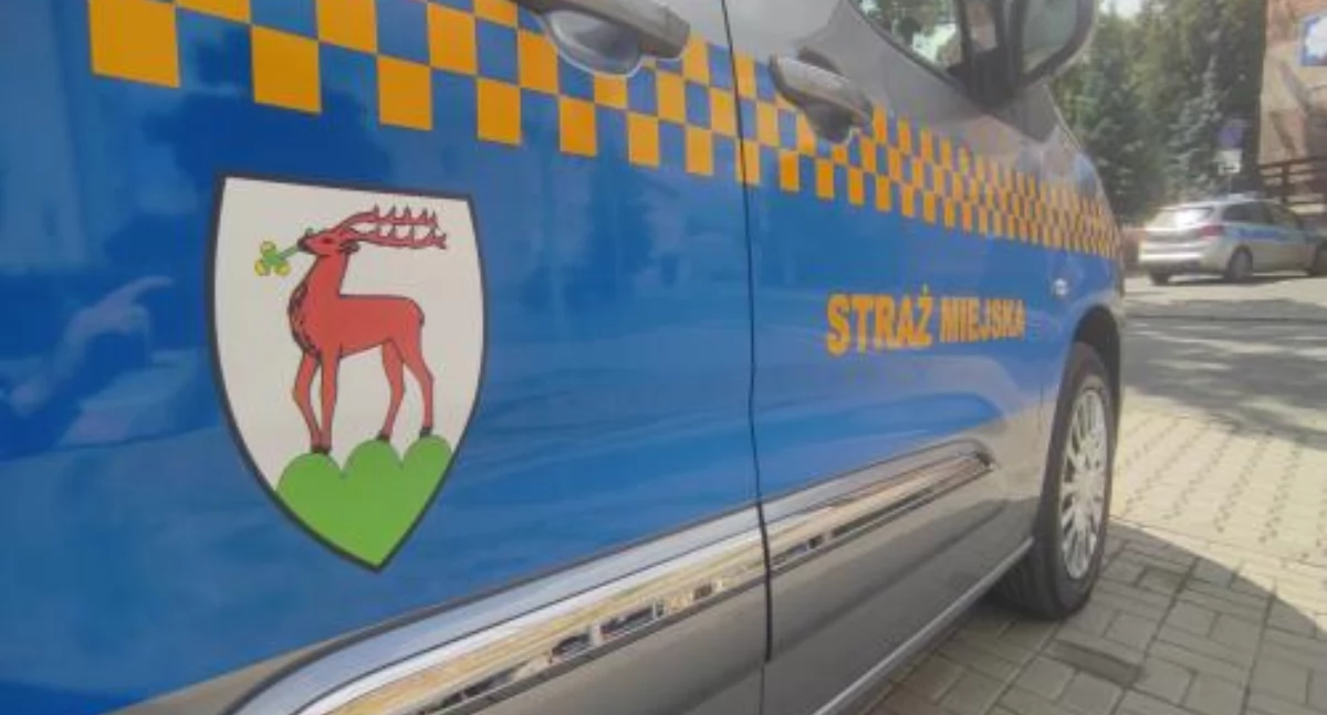 Raport strażników miejskich ze zdarzeń, które miały miejsce w weekend