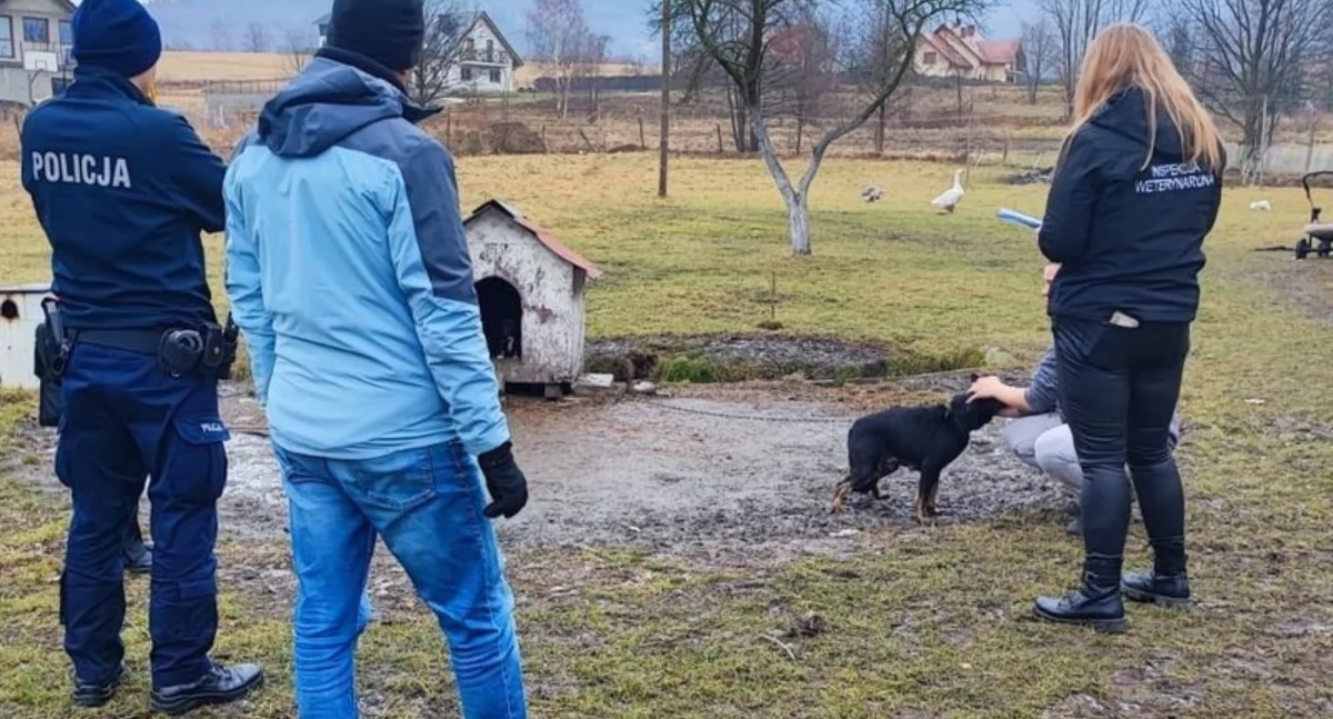 Kontrolowali warunki, w jakich mieszkańcy trzymają swoje zwierzęta