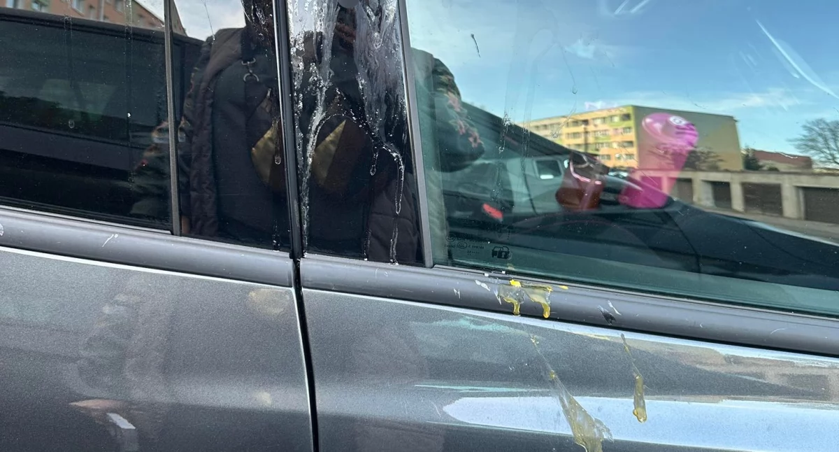 Przyjechali z Krakowa. W Jeleniej Górze ich auto obrzucono jajkami