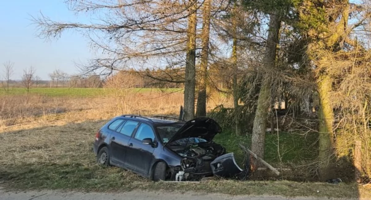 Pijany kierowca uderzył w drzewo – grozi mu surowa kara
