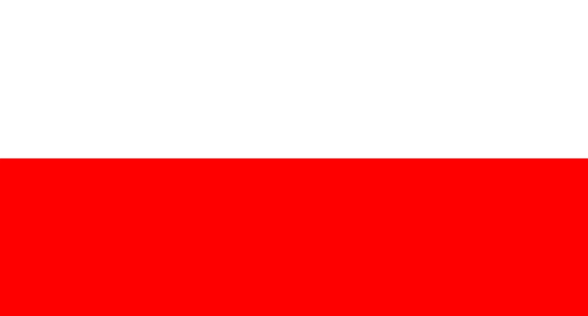 Gdyby wybory były dziś, głosowałbym na... Sonda w artykule