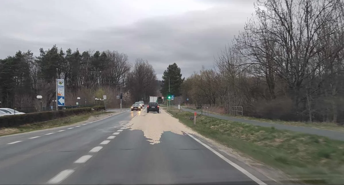 Na ulicy Sudeckiej wysypały się trociny