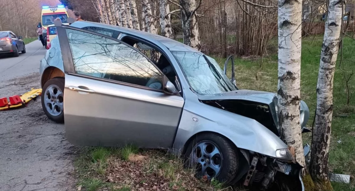 Pijany kierowca wjechał w drzewo. Na szczęście nikogo nie zabił