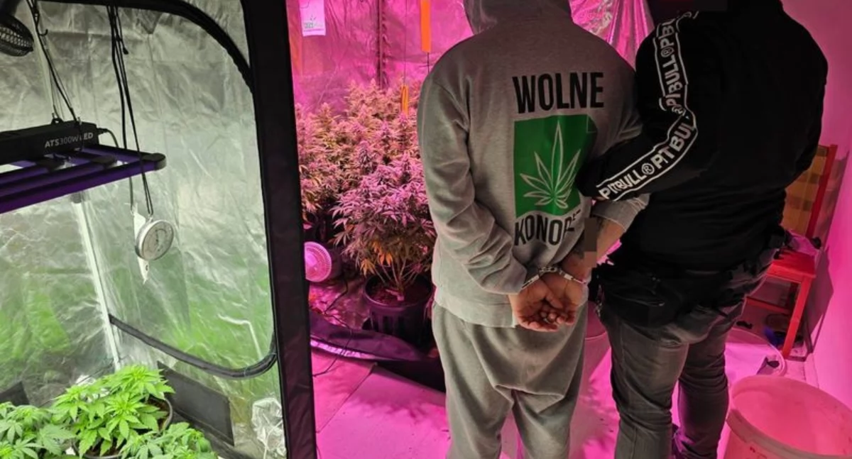 Uprawiał konopie i posiadał narkotyki. Grozi mu do 3 lat więzienia