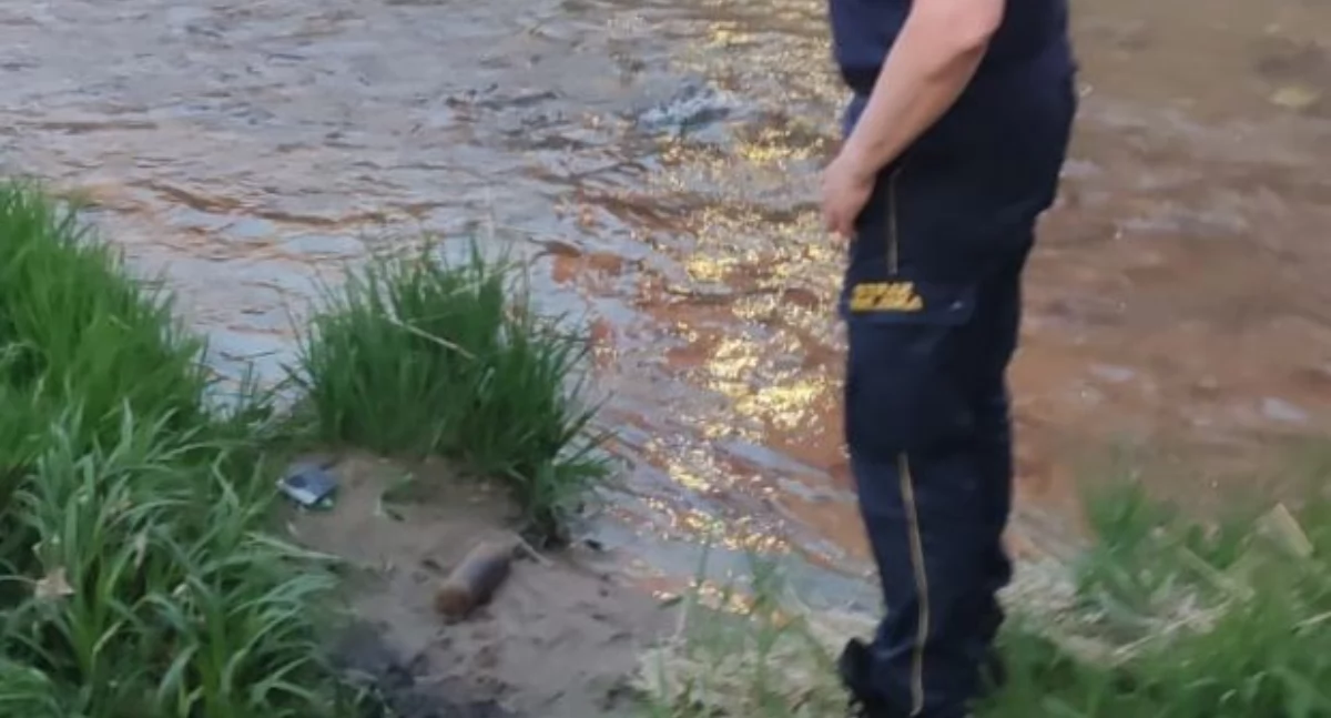 Niebezpieczne znalezisko nad rzeką w Cieplicach. Interweniowali saperzy