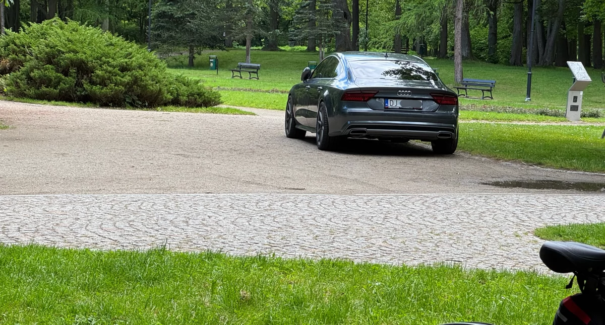 Zaparkował w Parku Norweskim. Alejka to nie miejsce postojowe