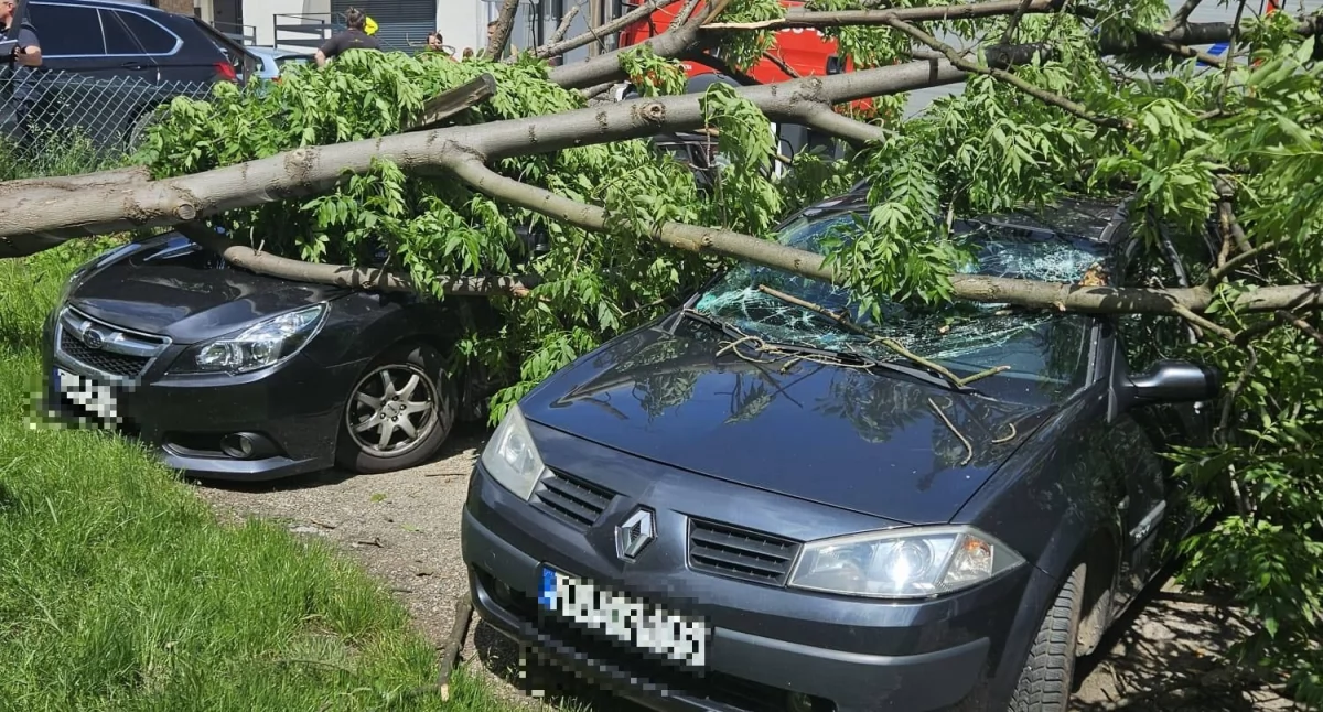 Szklarska Poręba - Drzewo spadło na zaparkowane samochody