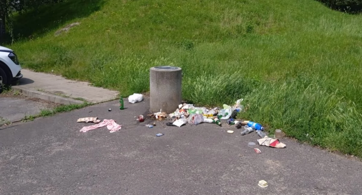 Po interwencji kobieta wylądowała na oddziale w Bolesławcu
