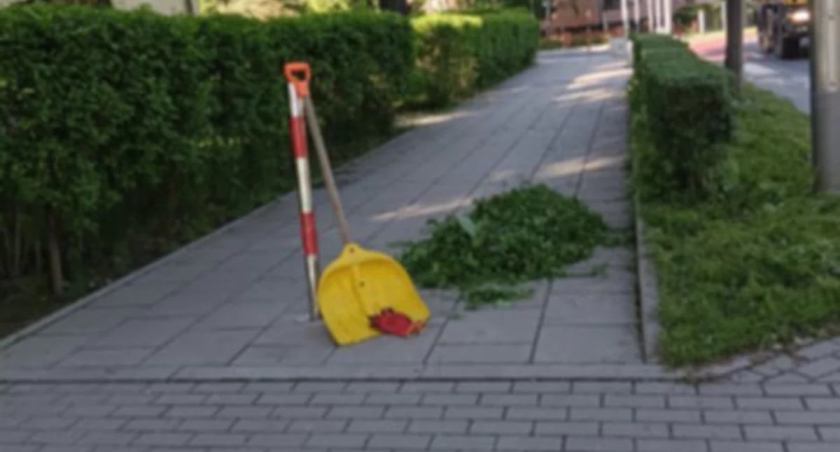 MPGK dba o porządek w Jeleniej Górze. Ważny apel do rodziców