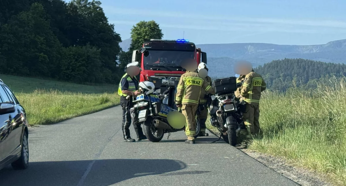 Zderzenie motocyklisty z sarną. Mężczyzna trafił do szpitala