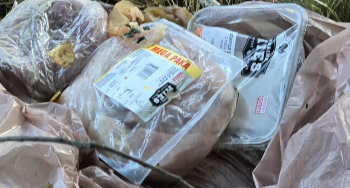 Będzie mięsna afera w Jeleniej Górze? Ktoś wyrzucił kilkadziesiąt kilogramów sklepowego mięsa między osiedlem Orle a Wojcieszycami