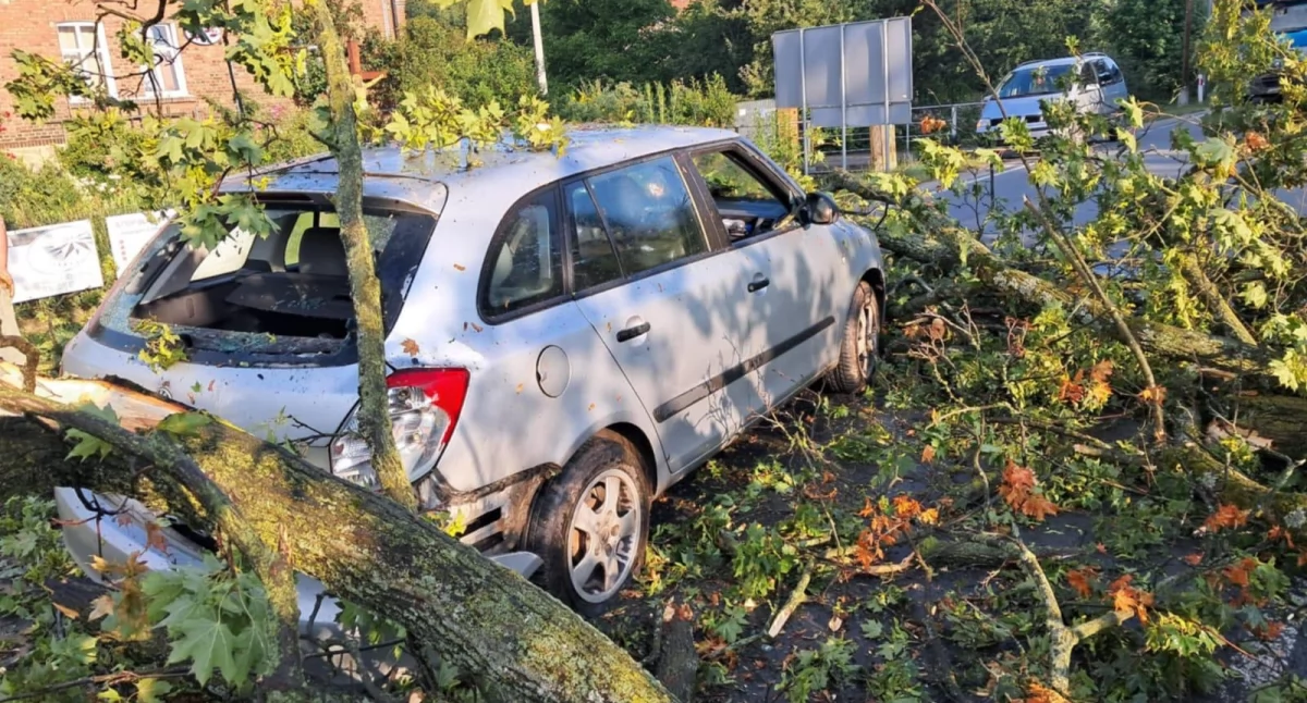 Drzewo spadło na samochód. Kierująca nim kobieta trafiła do szpitala