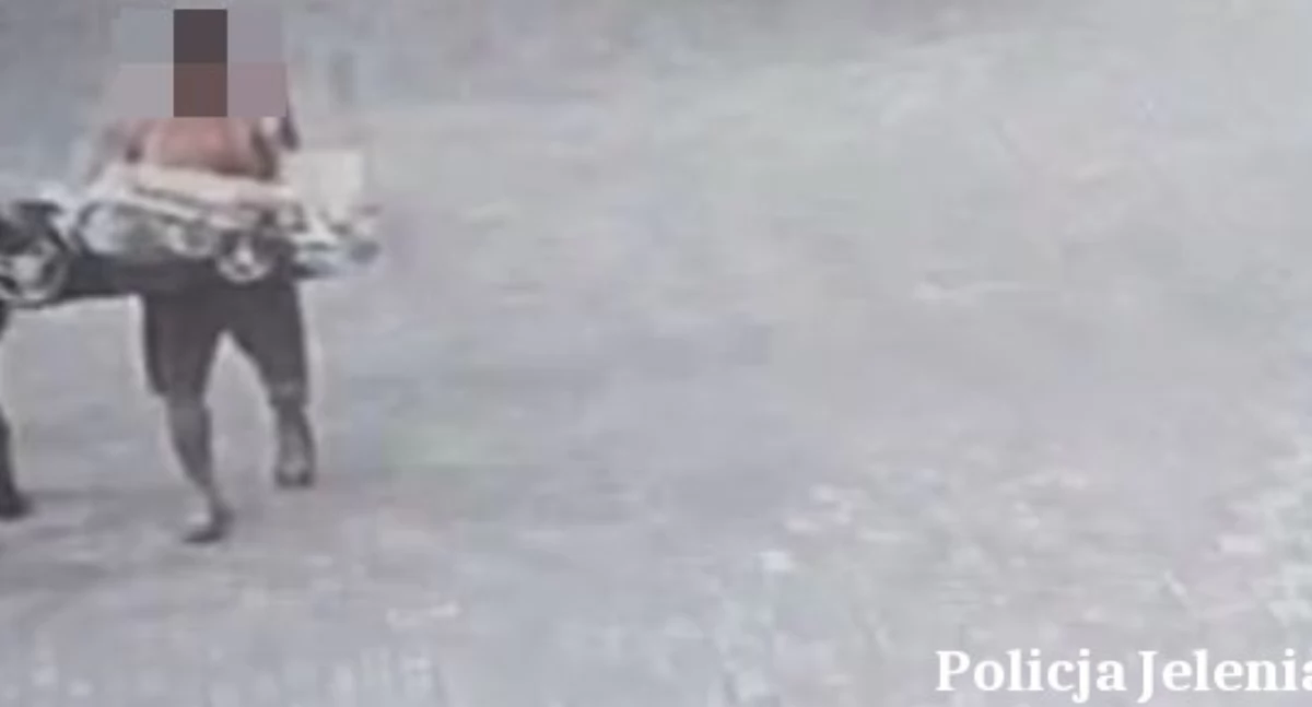 Ukradł kosiarkę spod sklepu. Wpadł, gdy próbował ją sprzedać