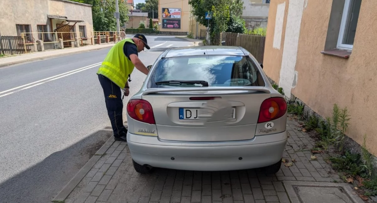 Mistrzowie Parkowania - chodnik to nie parking