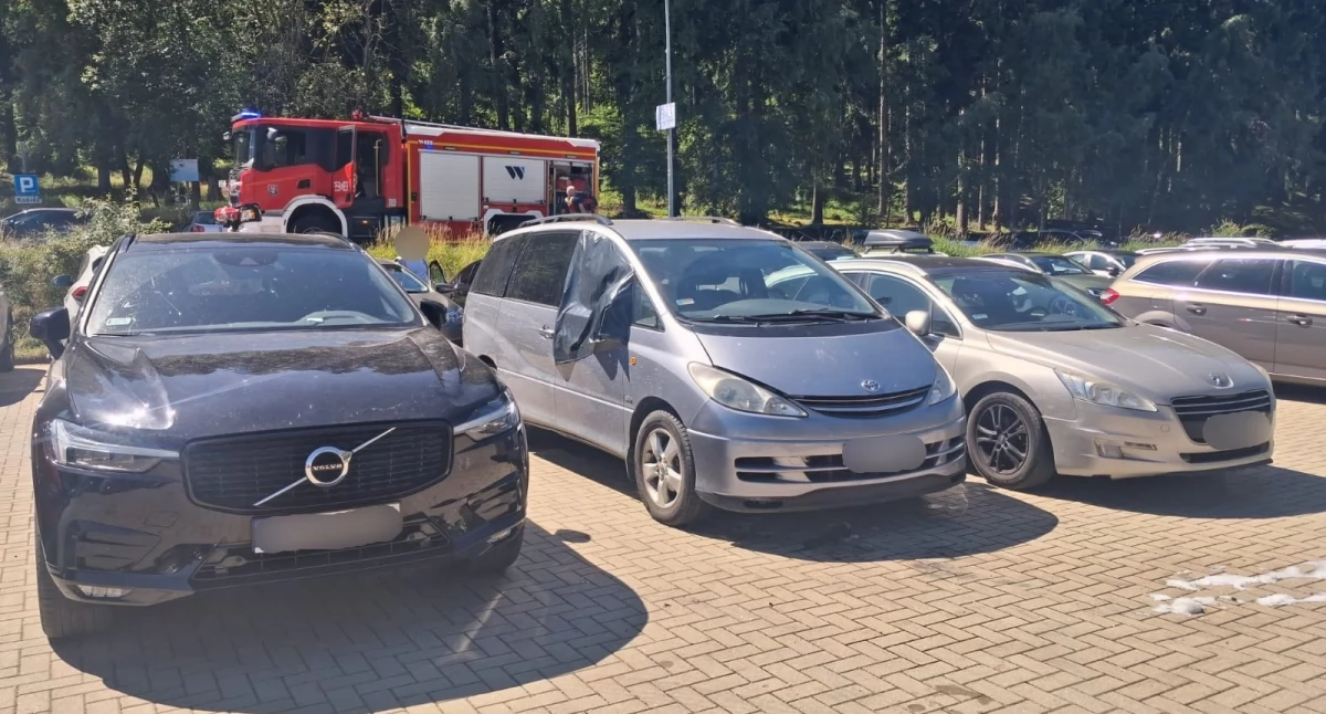 Karpacz - pożar samochodu na parkingu. Szybka interwencja strażaków