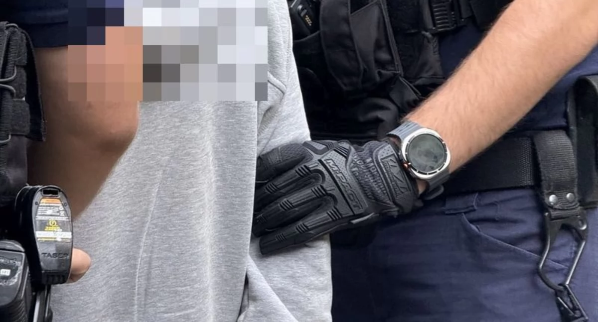 Wandal odpowie nie tylko za wandalizm. Ujawniono u niego nielegalną broń