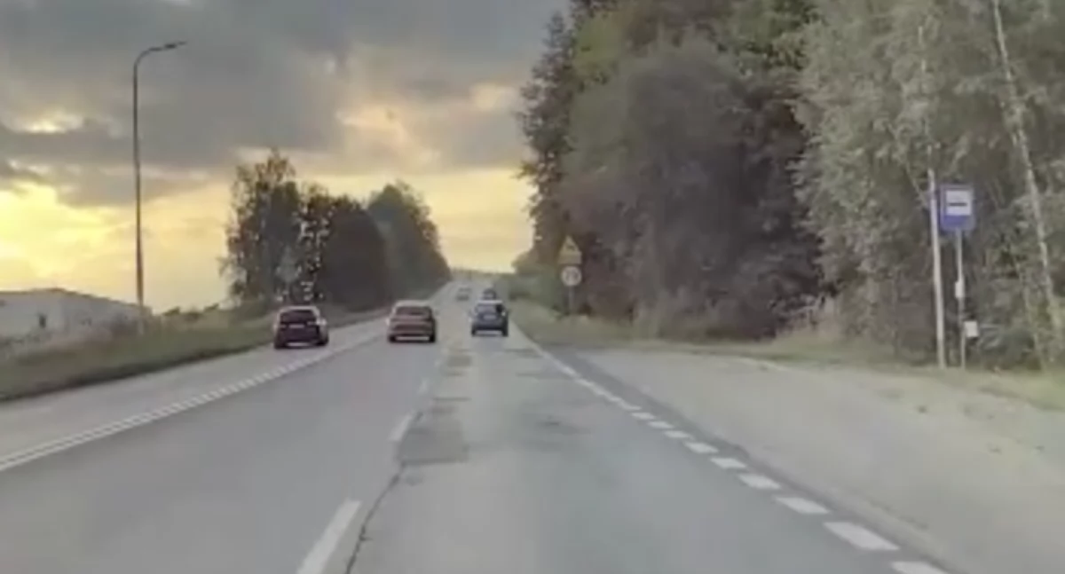 Prawie małe bum cz. 84