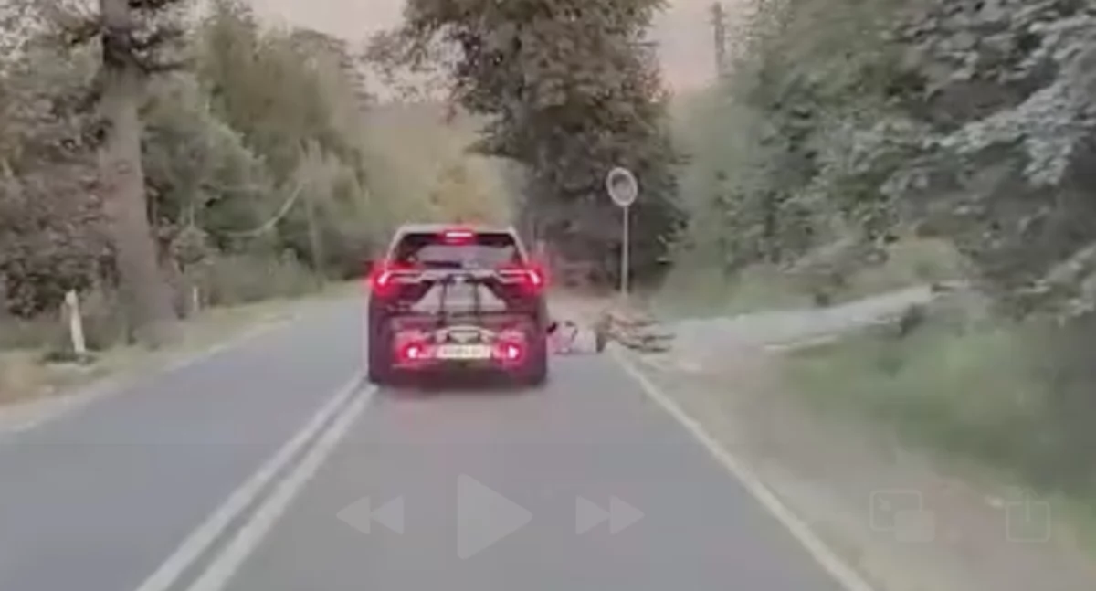 Prawie małe bum cz. 85