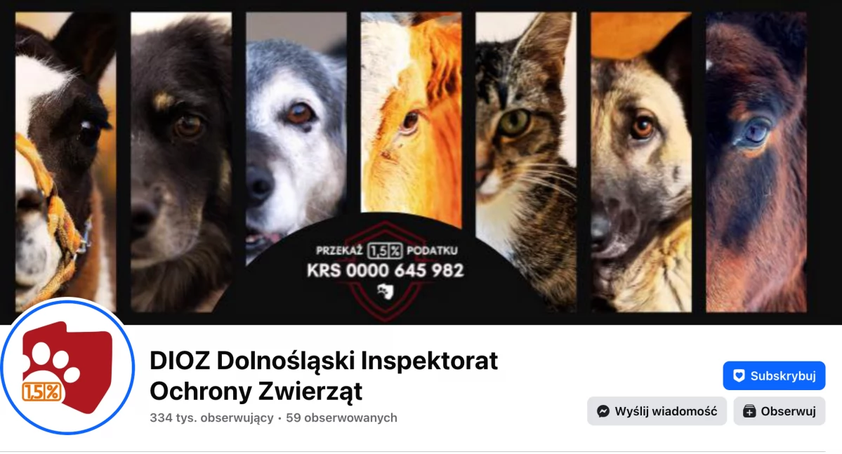 DIOZ jednak będzie dalej działał. To dzięki ludziom wspierającym instytucję