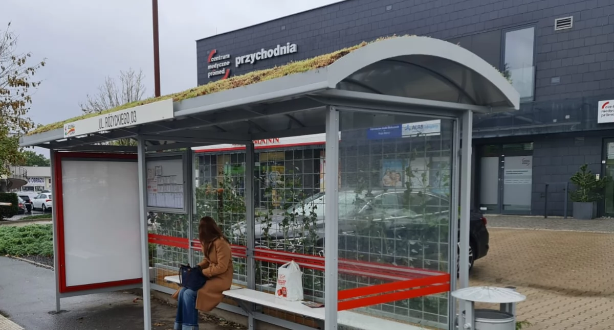 Zielone przystanki w Jeleniej Górze. Ekologiczne wiaty już służą mieszkańcom