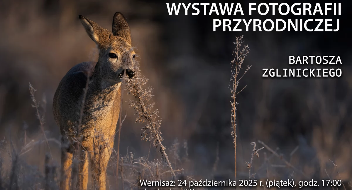 Spotkanie z naturą w obiektywie. Wernisaż fotografii Bartosza Zglinickiego w Piechowicach