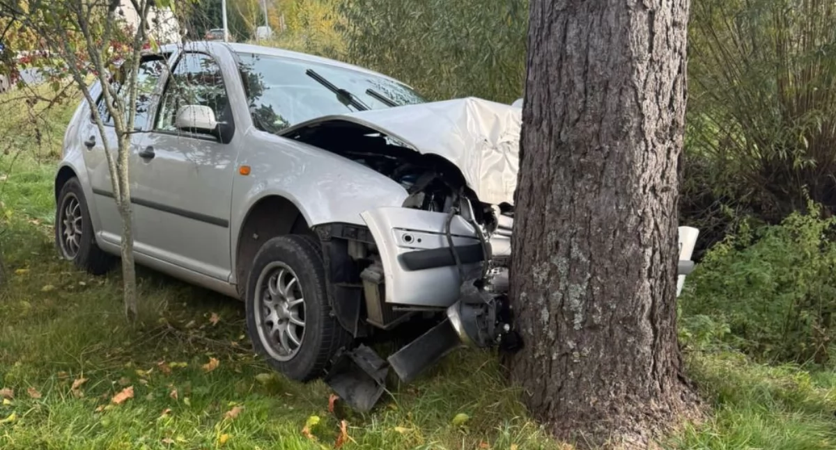 Kierowca zasłabł. Auto uderzyło w drzewo.