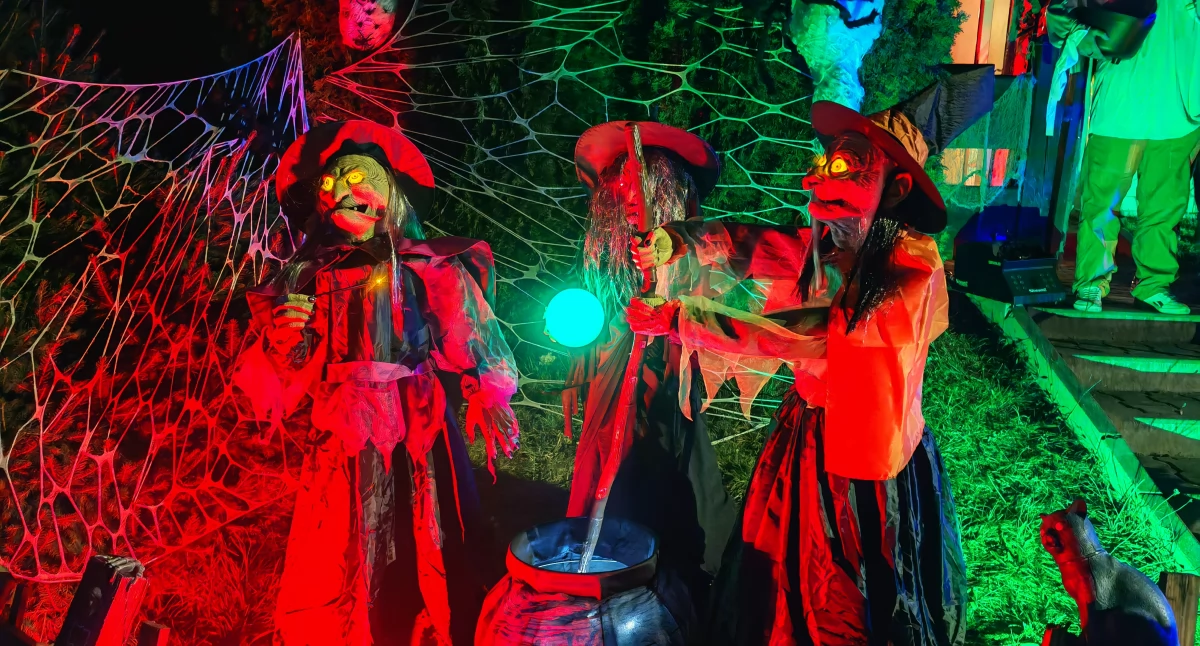 Dynie, duchy i sąsiedzi – halloweenowa tradycja z Jeleniej Góry