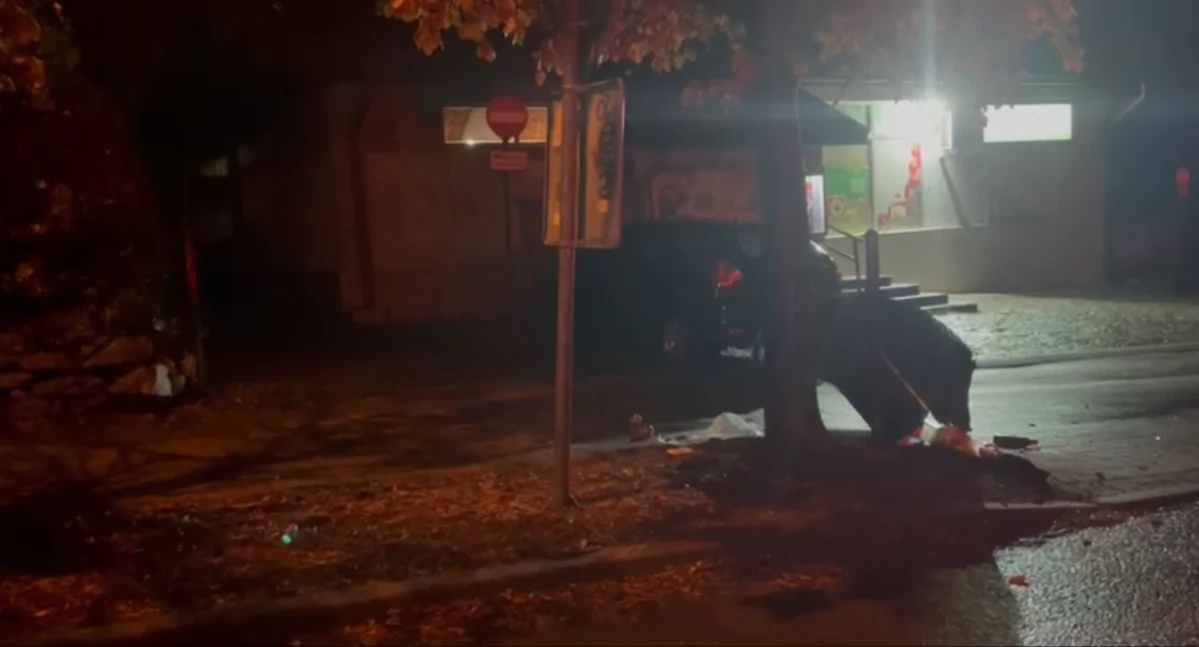 Nocny rajd dzików w Świeradowie-Zdroju