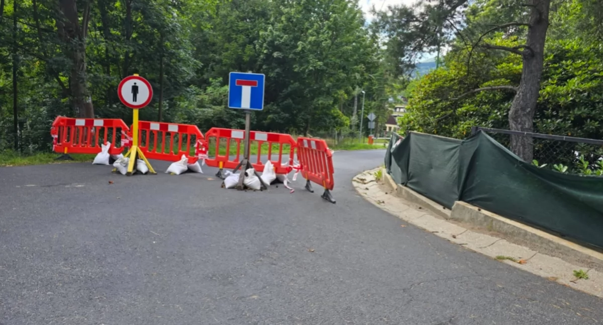 Droga zamknięta od miesięcy. Spór o drzewa, odpowiedzialność i zdrowy rozsądek. (video)