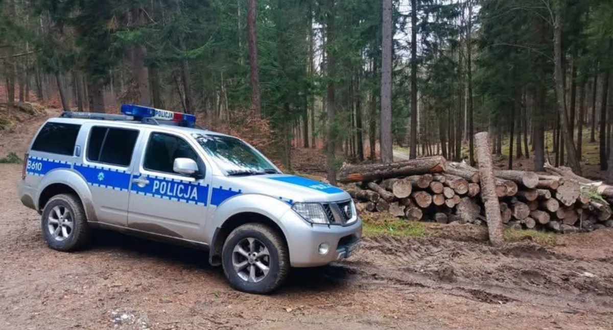 Niewybuch w Piechowicach. Policja i saperzy zabezpieczali teren