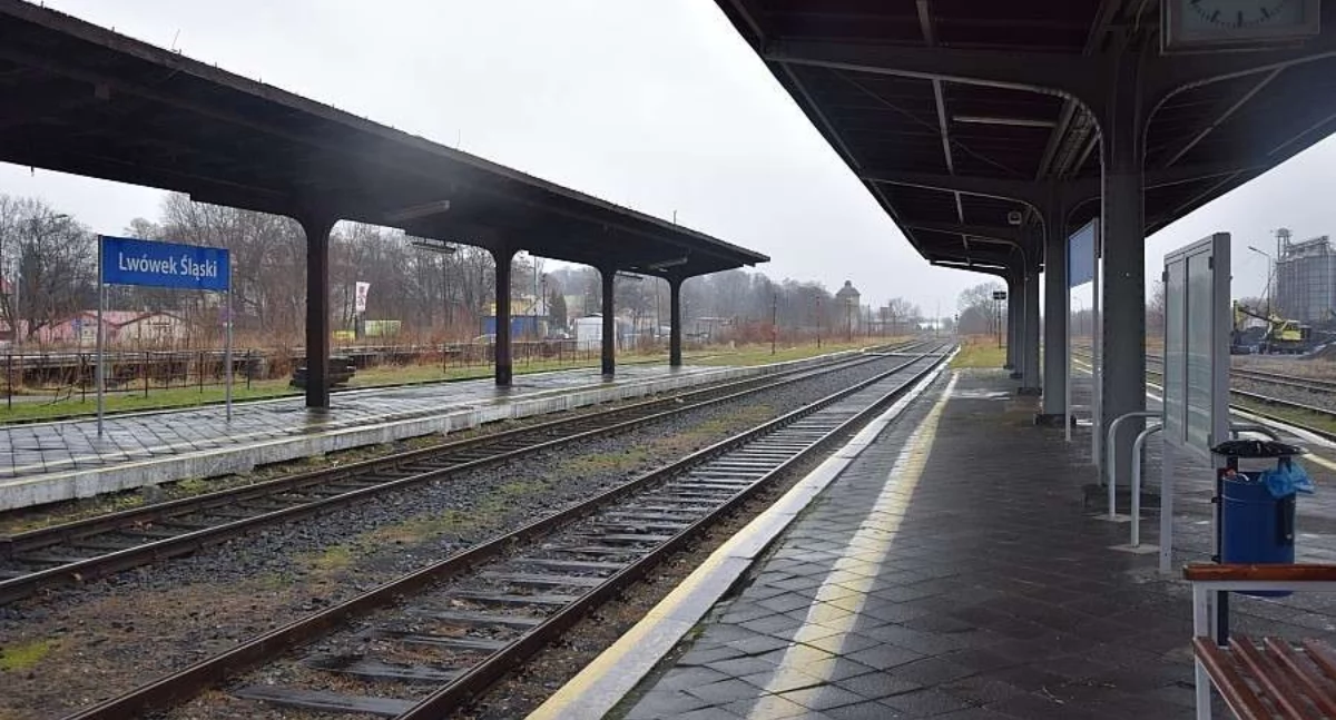 Lwówek Śląski wraca na tory. Rusza przetarg na odbudowę kluczowej linii kolejowej Jerzmanice–Lwówek