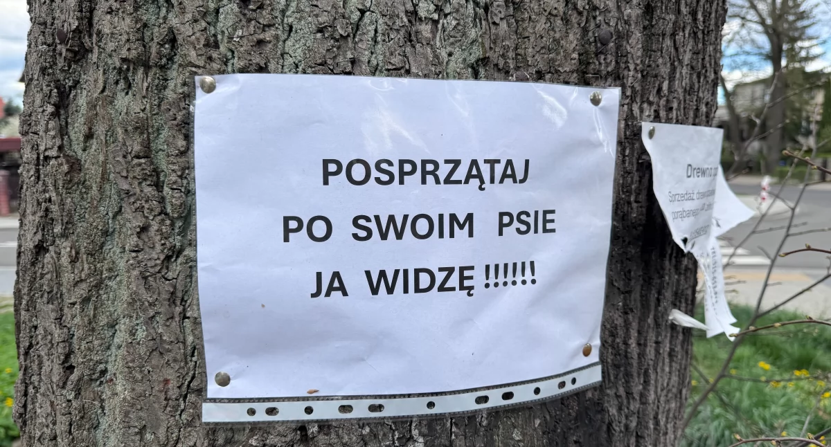 Sprzątajcie kupy po swoich psach. Apel do właścicieli czworonogów