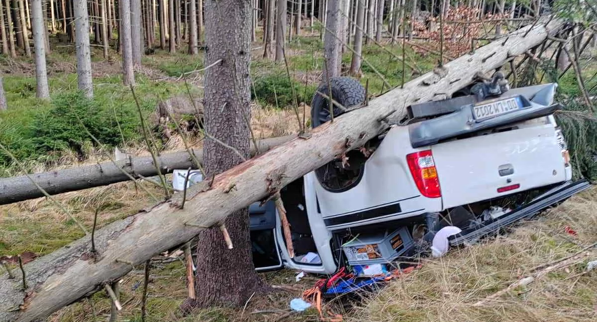 Auto na dachu, przygniecione drzewem. Wypadek między Szklarską a Świeradowem