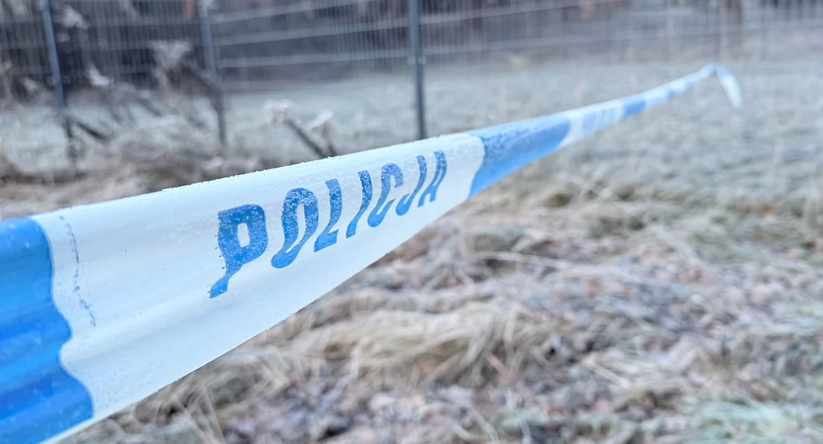 Najnowsze ustalenia dotyczące zabójstwa nastolatki w Jeleniej Górze