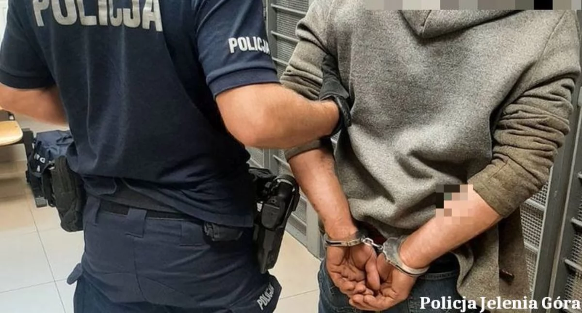 Koniec serii kradzieży w Jeleniej Górze. Policja zatrzymała 41-letniego mężczyznę