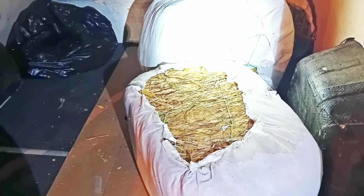 Blisko 600 kg nielegalnego tytoniu przejęte na A4. 26-latek z zarzutami