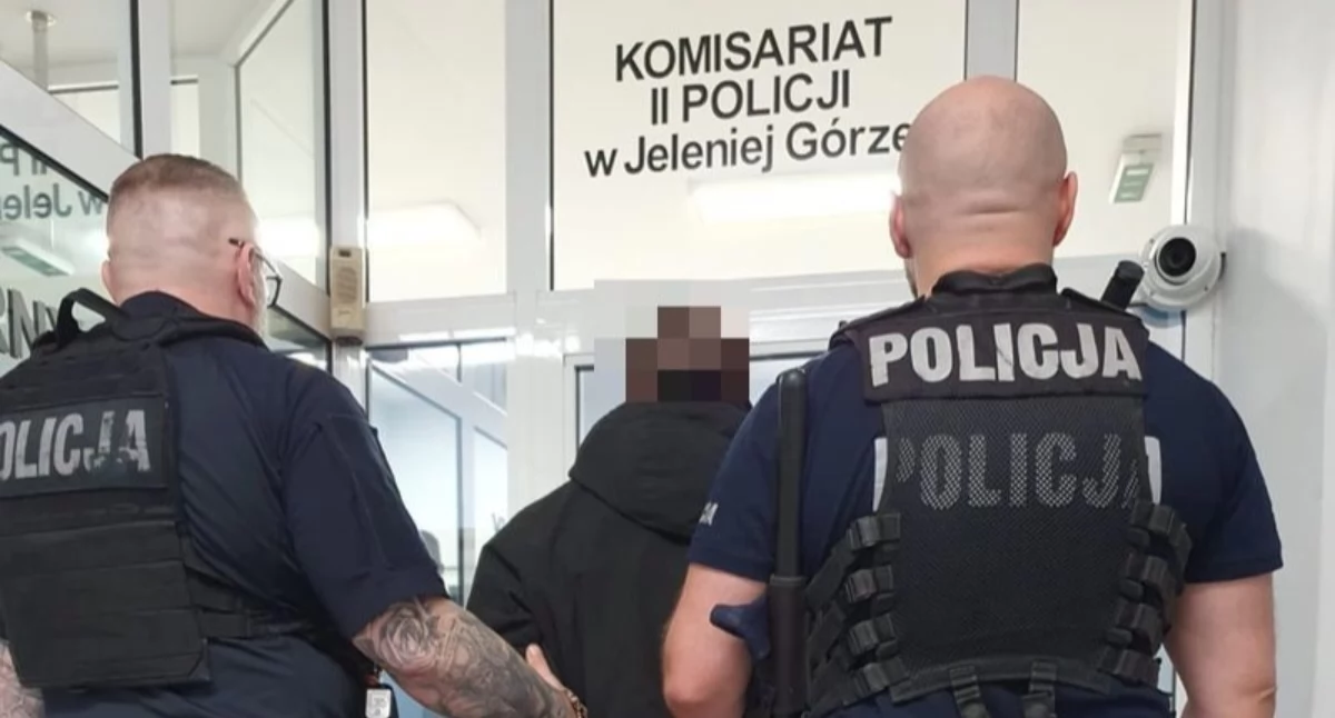 Seria kradzieży przerwana. Zatrzymano w tej sprawie 29-latka