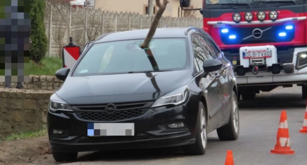 Sekundy od tragedii. Konar przebił szybę jadącego auta