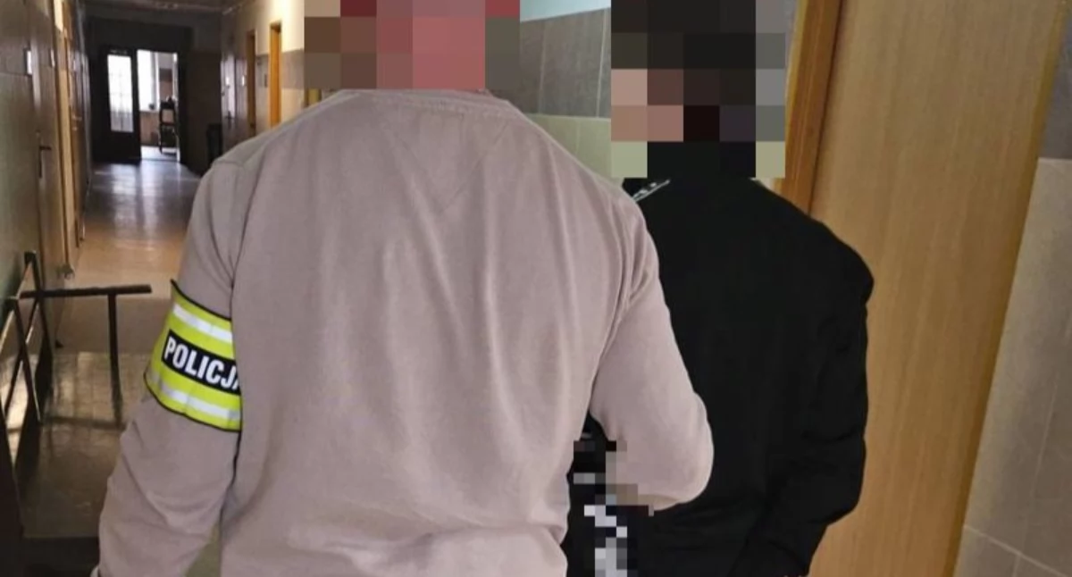Wynajmował apartamenty i bezczelnie je okradał. 19-latek jest w rękach policji