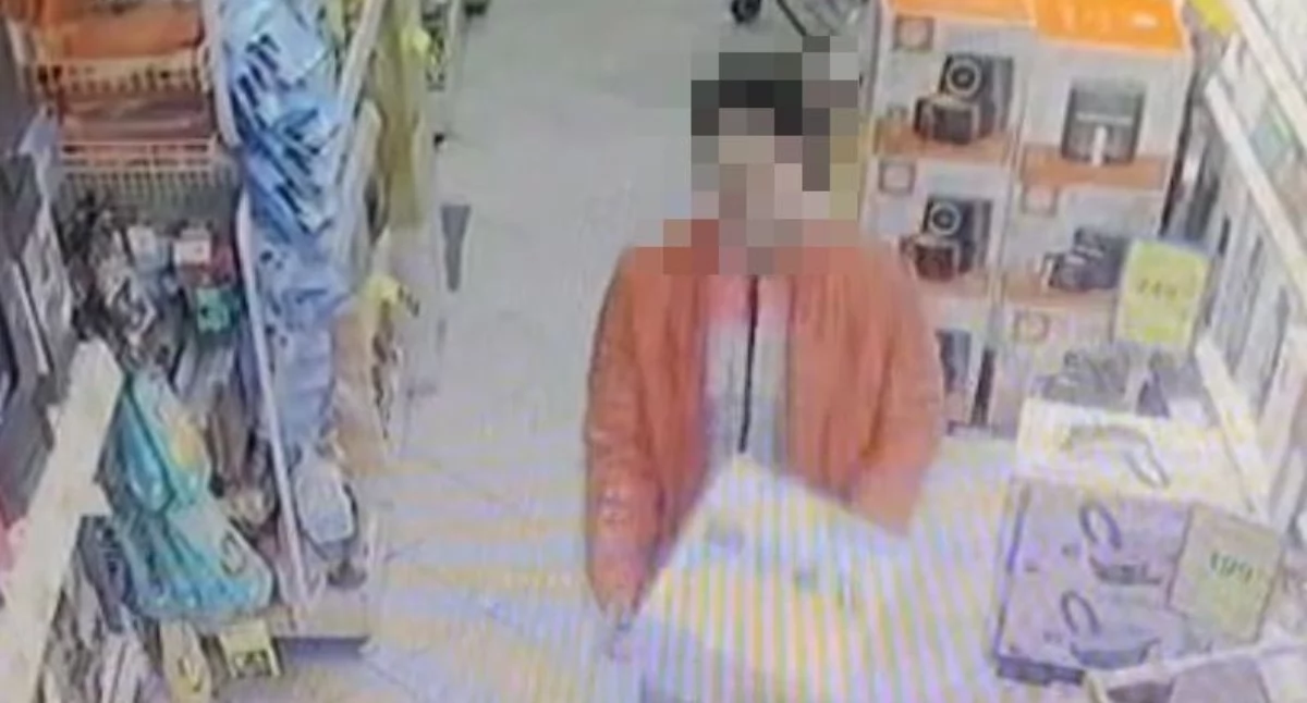 Seria kradzieży w dyskoncie. 26-latka w rękach jeleniogórskiej policji