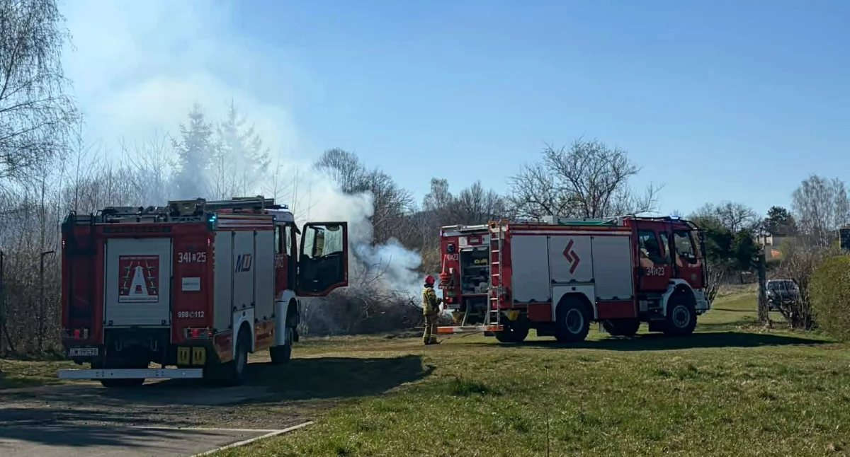 Pożar traw i odpadów przy ulicy Miłosza w Cieplicach
